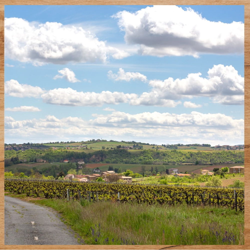 Domaine du champ de la croix - actualités - Bienvenue en Beaujonomis - repas