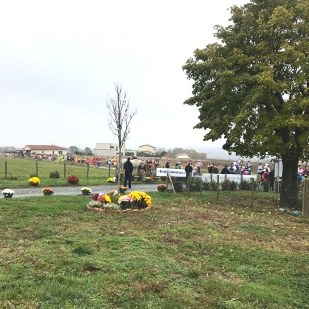 Beaujolais nouveaux - portes ouvertes - marathon du beaujolais - Domaine du champ de la croix - denicé