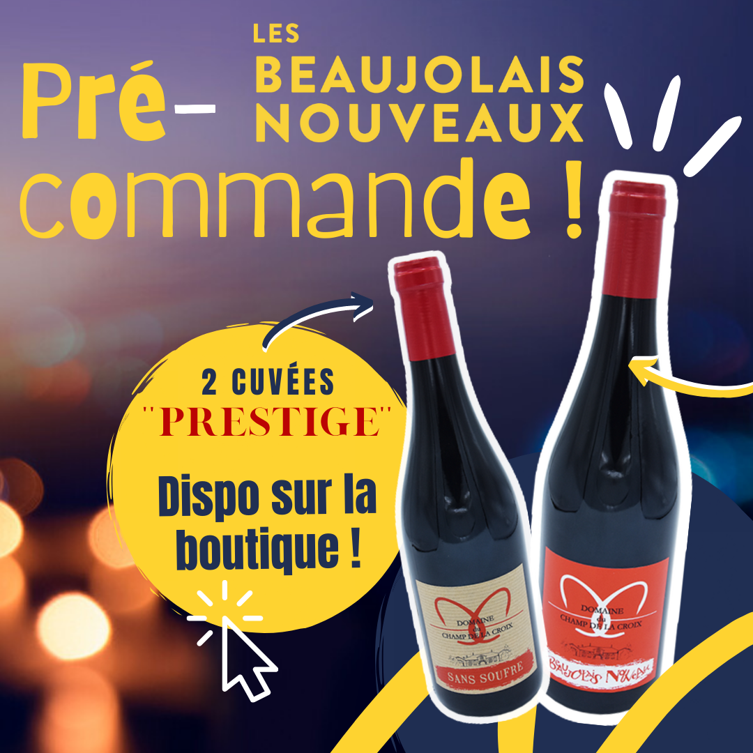 Beaujolais Nouveaux : pré-commandez maintenant !