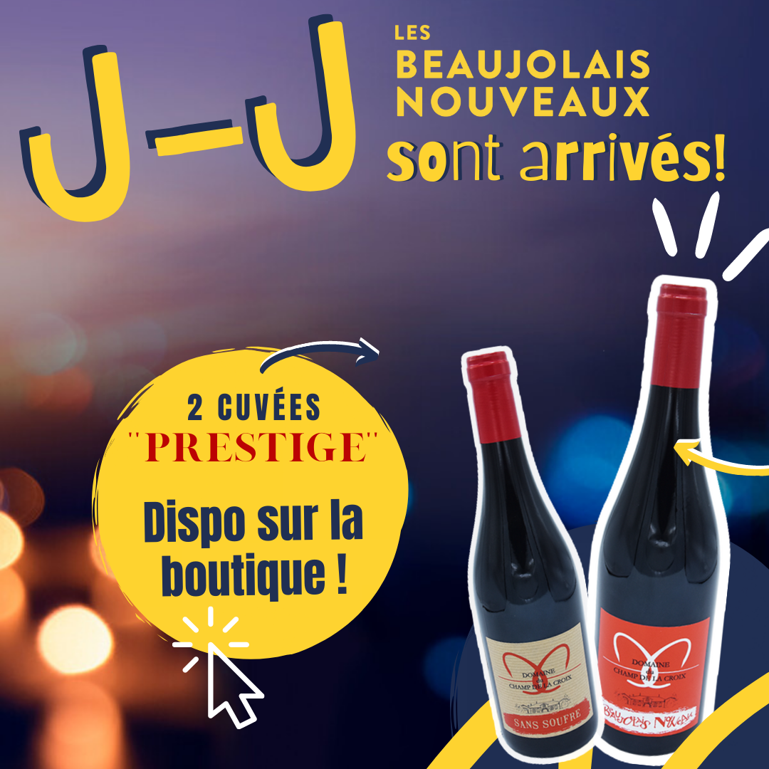 Beaujolais Nouveaux : Jour J !