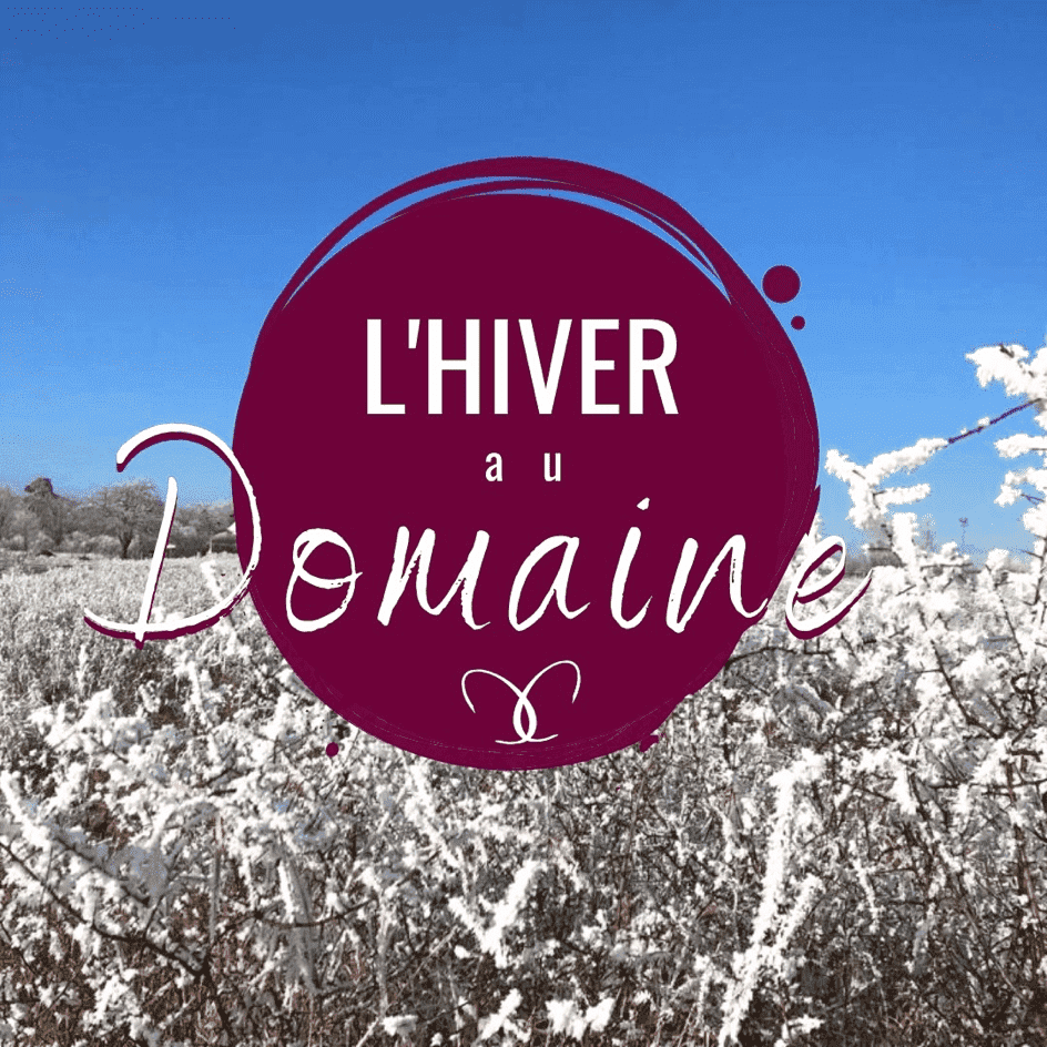 Complètement givré en Beaujolais !