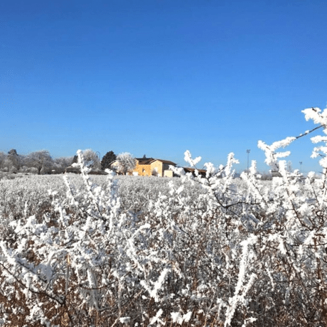 Domaine du Champs de la Croix - Givre Beaujolais Janvier