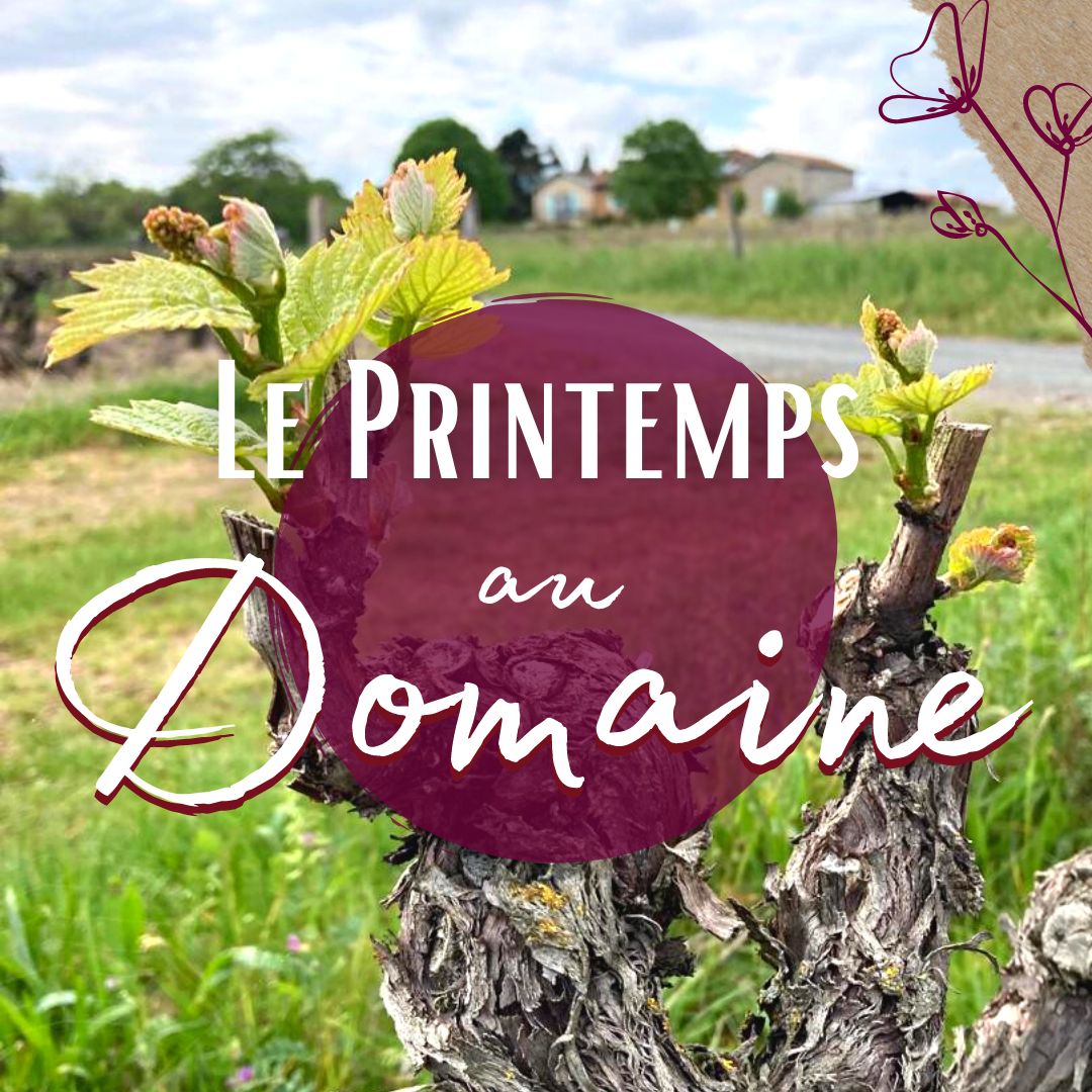 Le Printemps a fait son apparition dans notre domaine
