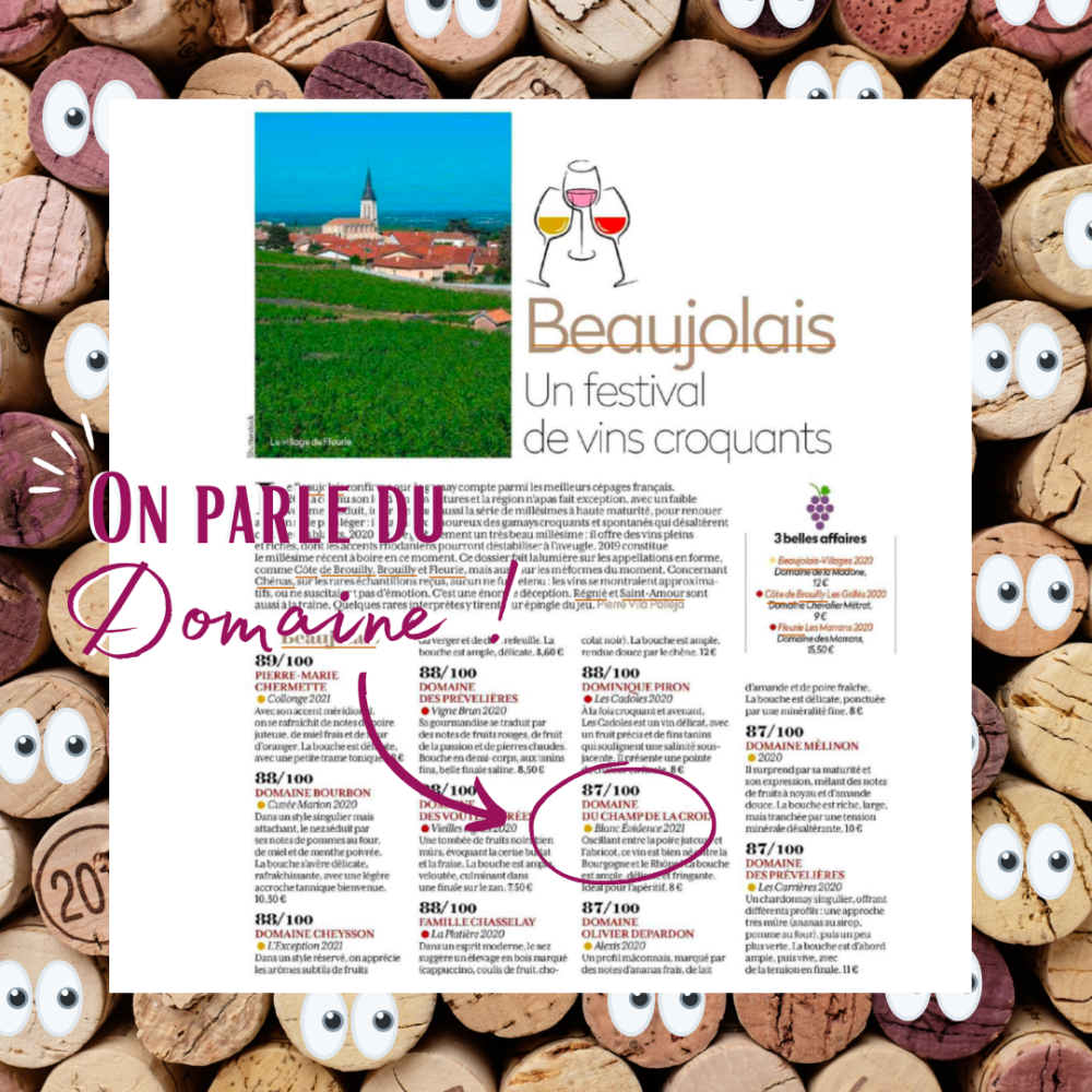 Article vin de France de juillet
