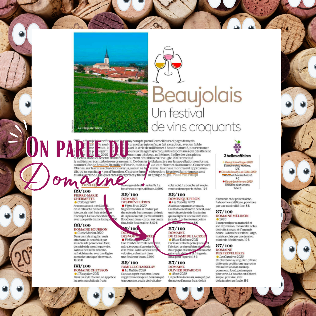 Retrouvez-nous dans La Revue du vin de France de Juillet 2022