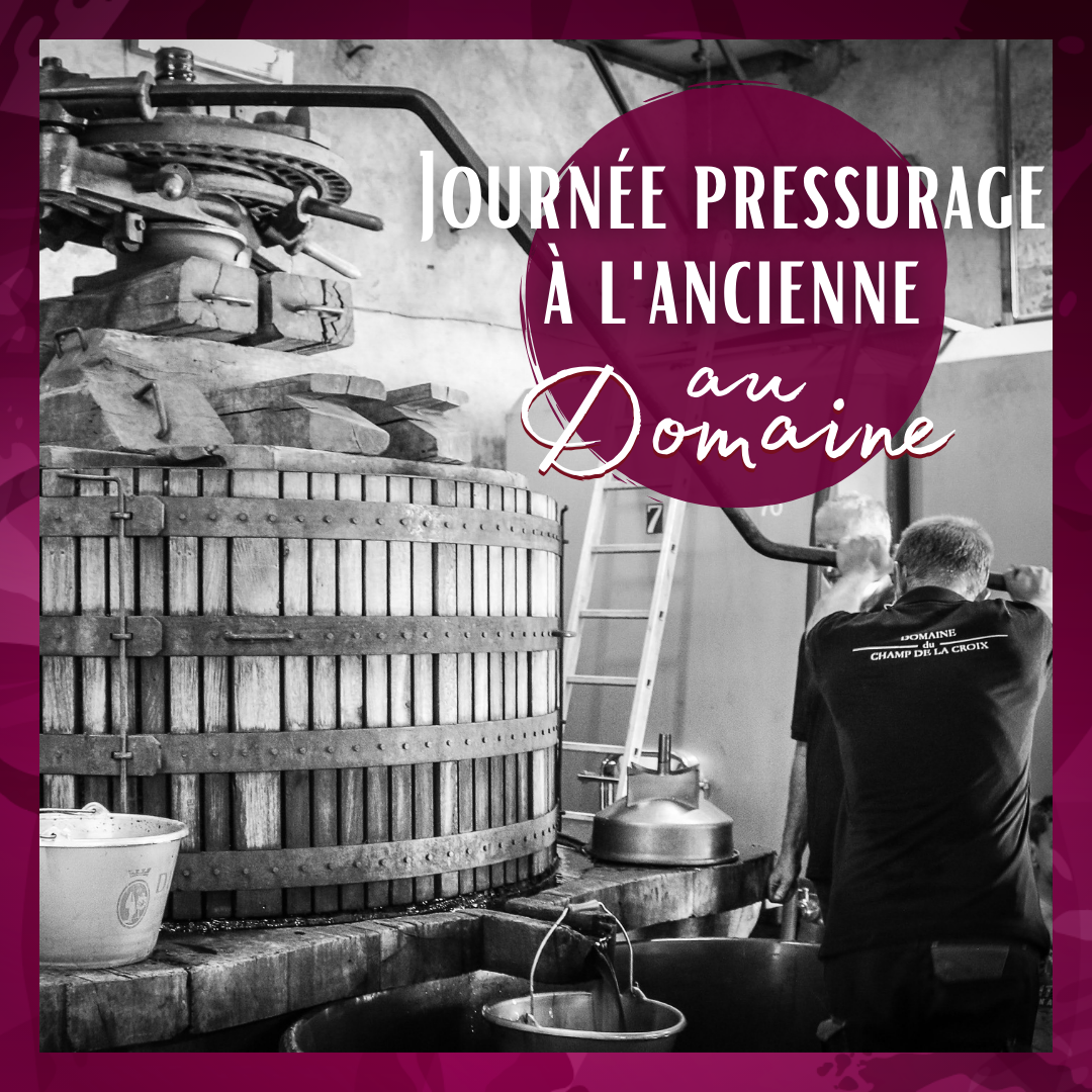 Retour en images : journée pressurage à l’ancienne !