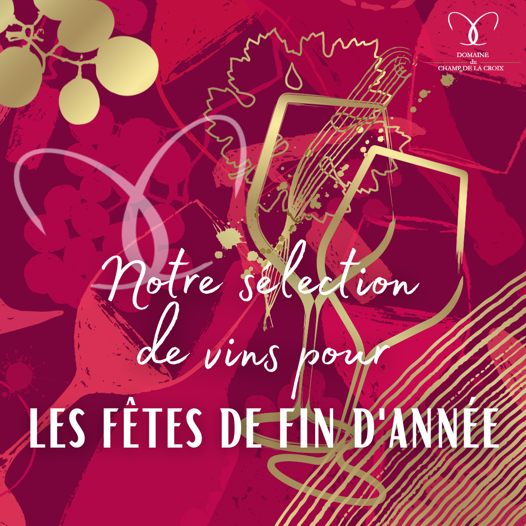 Notre sélection de vins pour les fêtes !