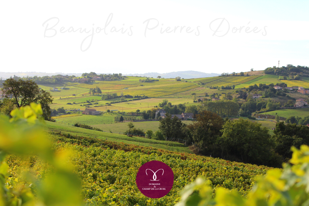 Lisez-nous dans Marianne !